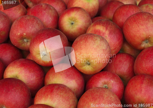 Image of Apples