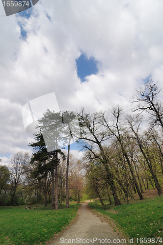 Image of Road in park