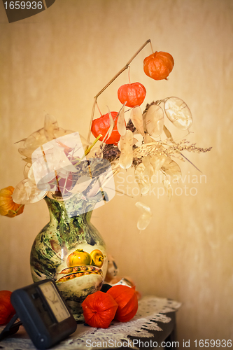 Image of flowers of Physalis