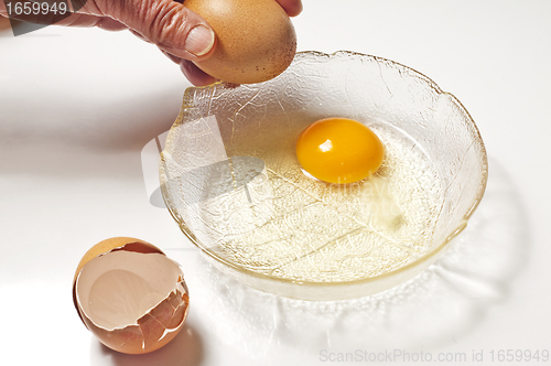 Image of egg