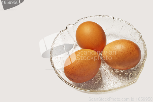 Image of egg