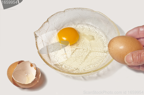 Image of egg