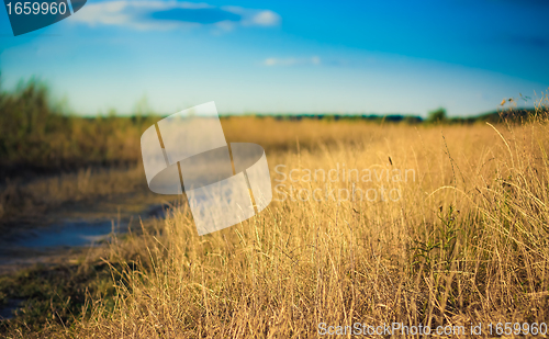 Image of light over field