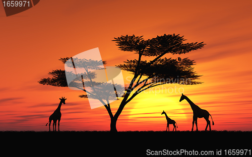 Image of African Sunset