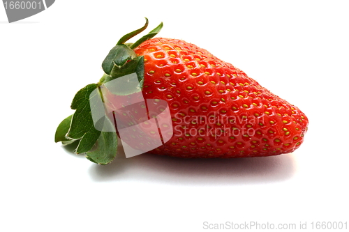 Image of isolated strawberry