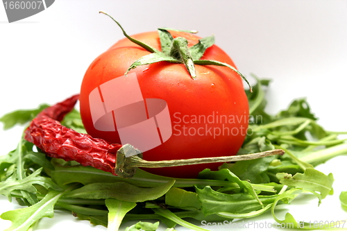 Image of tomato on ruccola bed