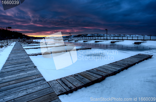 Image of Cypress Hills Alberta