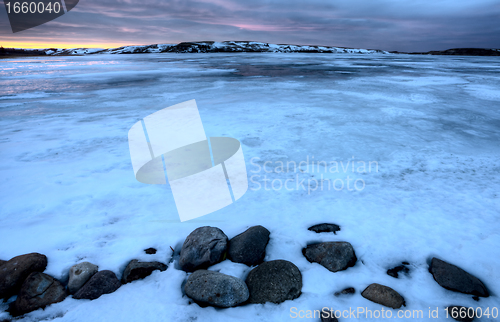 Image of Cypress Hills Alberta