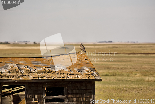 Image of Rural Saskatchewan