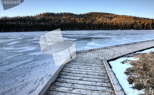 Image of Cypress Hills Alberta