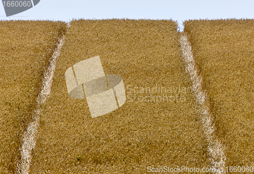 Image of Rural Saskatchewan