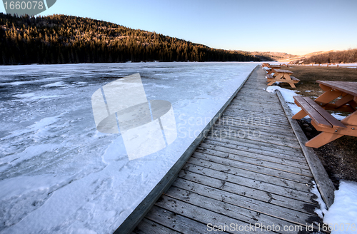 Image of Cypress Hills Alberta