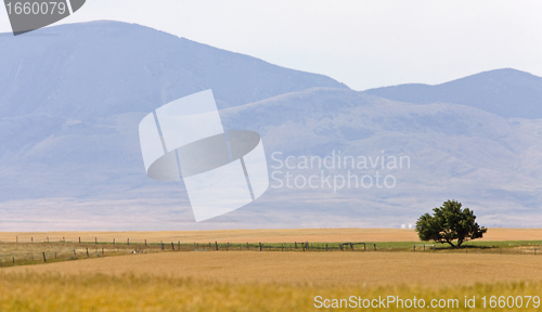 Image of Southern Alberta Rural Scene Prairie