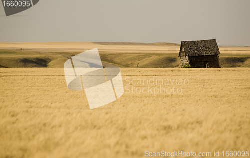 Image of Rural Saskatchewan