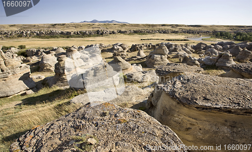 Image of Milk River Alberta Badlands