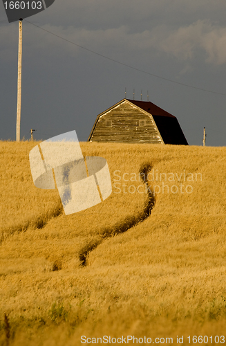 Image of Rural Saskatchewan