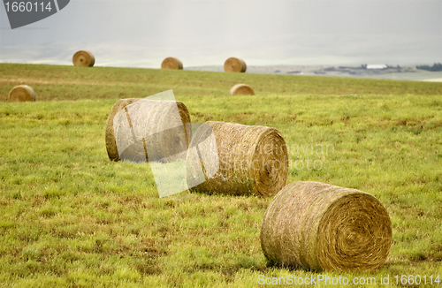Image of Rural Saskatchewan