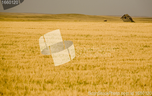 Image of Rural Saskatchewan