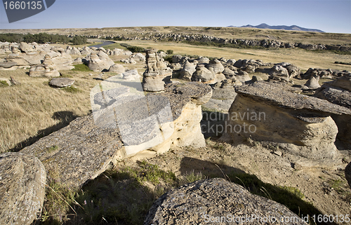 Image of Milk River Alberta Badlands