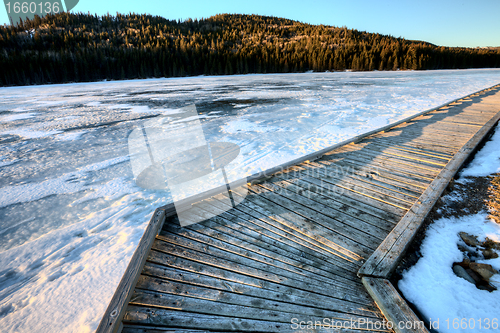 Image of Cypress Hills Alberta