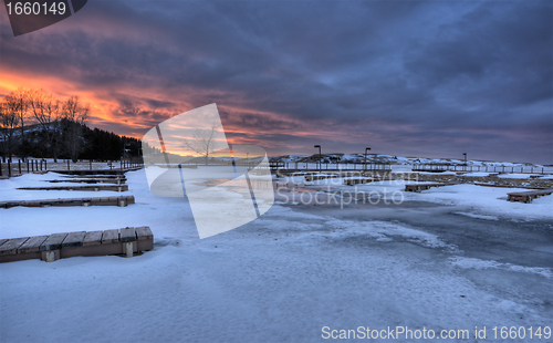 Image of Cypress Hills Alberta