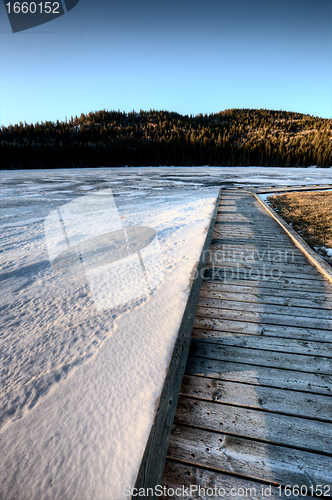 Image of Cypress Hills Alberta