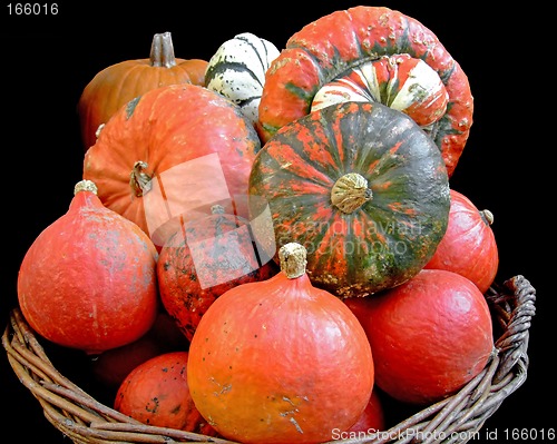 Image of Pumpkins in a basket