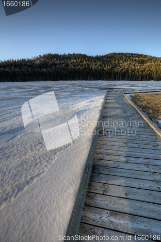 Image of Cypress Hills Alberta