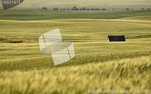 Image of Rural Saskatchewan