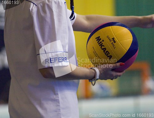 Image of Waterpolo referee