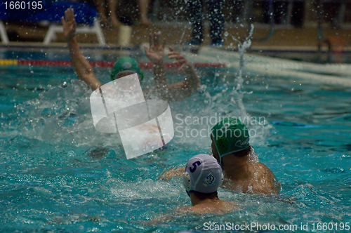 Image of Dynamo(Moscow) vs Sintez (Kazan) of waterpolo