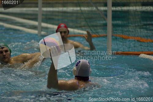 Image of Dynamo(Moscow) vs Sintez (Kazan) of waterpolo