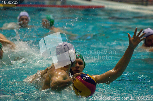 Image of Dynamo(Moscow) vs Sintez (Kazan) of waterpolo