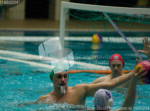 Image of Dynamo(Moscow) vs Sintez (Kazan) of waterpolo