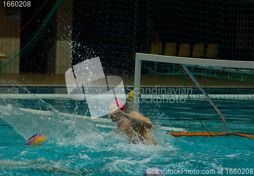 Image of Dynamo(Moscow) vs Sintez (Kazan) of waterpolo