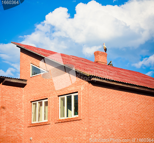 Image of beautiful stork stand on roof