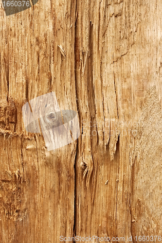 Image of New wooden broken log