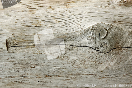 Image of Detail of old wooden log