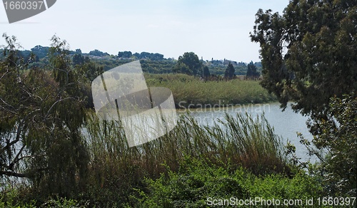 Image of Narrow river flows between wooded banks