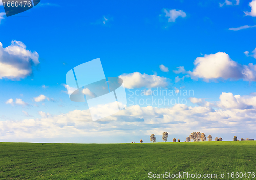 Image of Green field