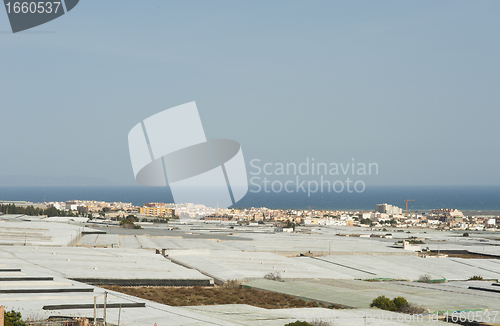 Image of Nothing but greenhouses