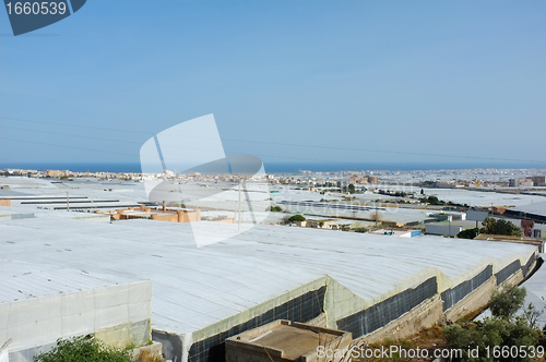 Image of Greenhouses