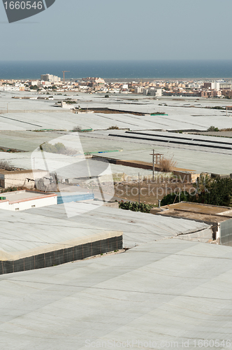 Image of Plastic landscape