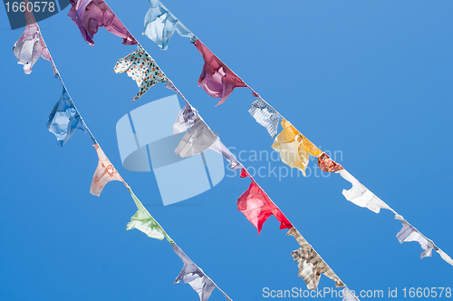 Image of A group of colored shirts on a clothesline