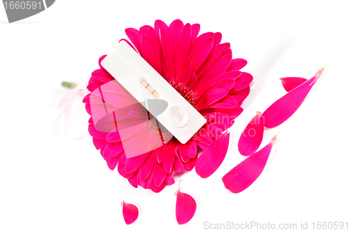 Image of Positive pregnancy test and pink gerbera