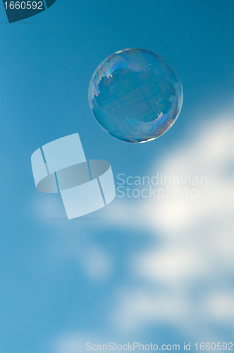 Image of Soap bubble