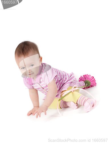 Image of Cute baby girl in pink with gerbera
