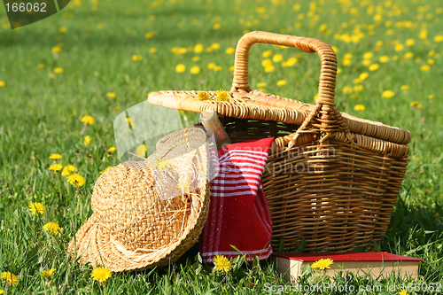 Image of Picnic on the grass