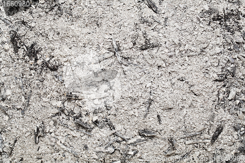 Image of burned wood ash background