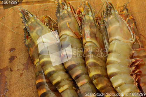 Image of big fresh tiger prawns, king prawns, shrimp